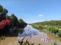 381. Tra Su Nationalpark