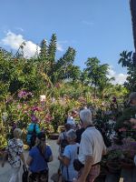 382. Tra Su Nationalpark