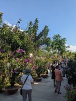 384. Tra Su Nationalpark