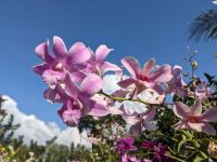 388. Tra Su Nationalpark