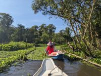 389. Tra Su Nationalpark