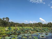 391. Tra Su Nationalpark