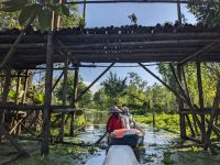 392. Tra Su Nationalpark