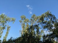 393. Tra Su Nationalpark