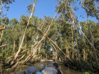 396. Tra Su Nationalpark