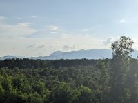 398. Tra Su Nationalpark