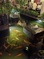 420. Restaurant Abendessen Phnom Penh