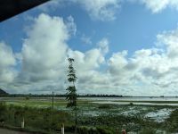 424. Fahrt in Richtung Siem Reap