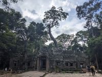 461. Ta Prohm Tempel