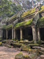 471. Ta Prohm Tempel