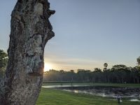 483. Sonnenaufgang Angkor Wat