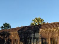 484. Sonnenaufgang Angkor Wat