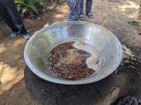 500. Palmenzuckerherstellung