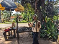 501. Palmenzuckerherstellung