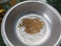 503. Palmenzuckerherstellung