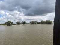 558. Bootsfahrt Tonle Sap See