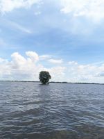 566. Bootsfahrt Tonle Sap See
