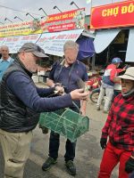 Vogelbefreiung in Hue