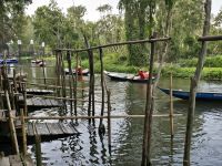 Naturreservat To Tra Su, Mangroven