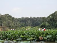Unterwegs im Naturreservat
