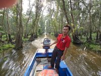 Naturreservat To Tra Su, Mangroven