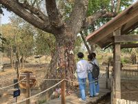 Killing Field vor Phnom Penh