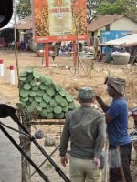 Lotusblühten Samen zum Essen