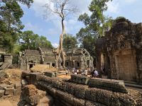 Dschungel Tempel, Ta Prohm