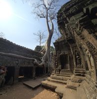 Dschungel Tempel, Ta Prohm