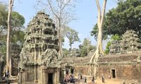 Dschungel Tempel, Ta Prohm