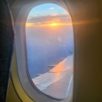 Heimflug nach Frankfurt