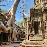 Dschungeltempel Ta Prohm