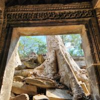 Dschungeltempel Ta Prohm