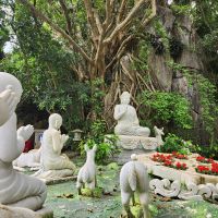 Garten - Marmorberge bei Da Nang
