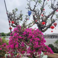 Hoi An, typische Dekorationen