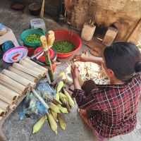 Klebreis, das Mittagessen für die Feldarbeiter