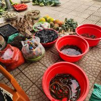 Straßenverkauf in Mai Chau