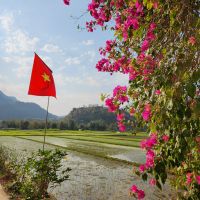 Reisfelder in der Bergregion Mai Chau