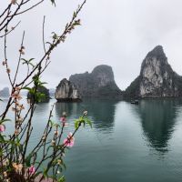 Halong Bucht