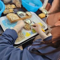 Perlenzucht  und Perlenschmuck-Fabrik