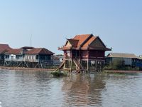 ...auf dem Tonle Sap see (8)