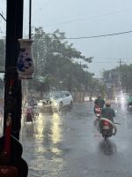 ...Fahrt nach Hue im Tropenregen (1)