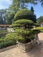 ...im Literaturtempel (3)