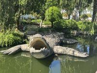 ...in der Krokodilfarm (1)
