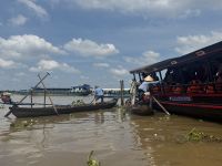 ...weiter mit dem Ruderboot durchs Mekong Delta (7)