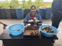 Perlenfarm, vor der Ha Long Bucht