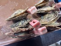 Perlenfarm, vor der Ha Long Bucht