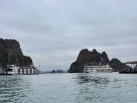 Ha Long Bucht