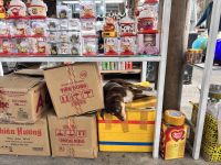 Impression Wolkenpass, am Hai Van Gate