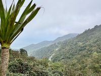  Wolkenpass, am Hai Van Gate